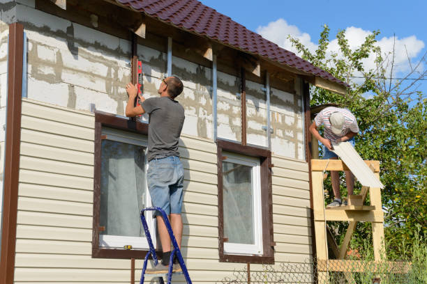 Best Siding Removal and Disposal  in Mercedes, TX