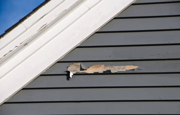 Best Siding Maintenance  in Mercedes, TX