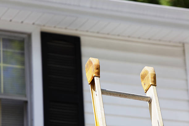 Best Insulated Siding Installation  in Mercedes, TX